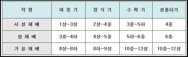 배추심는시기 중부 남부 지방 가을 추석 김장 모종 씨앗 파종 심기 방법 1