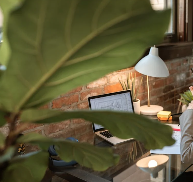 중장년층 재취업