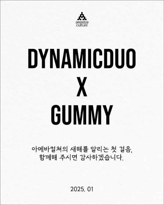 다이나믹듀오 거미