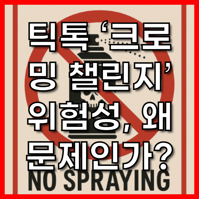 틱톡 ‘크로밍 챌린지’ 위험성, 왜 문제인가?