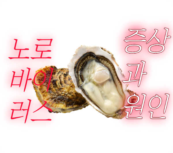 노로바이러스 증상과 원인