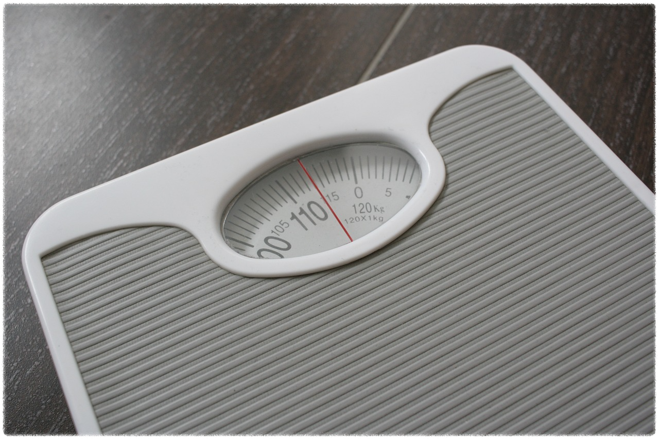 허리둘레 계산기 계산법 FAQ