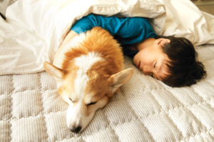 보호자와 함께 편한하게 자는 모습