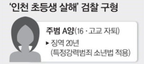 소년심판 실화 살인사건 (5)