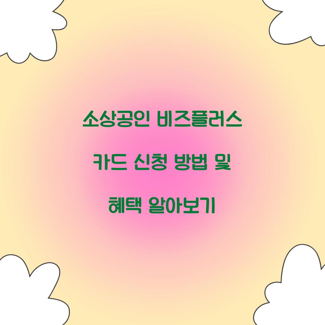 소상공인 비즈플러스 카드