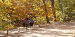 단풍여행 1박2일 버스여행 단풍구경