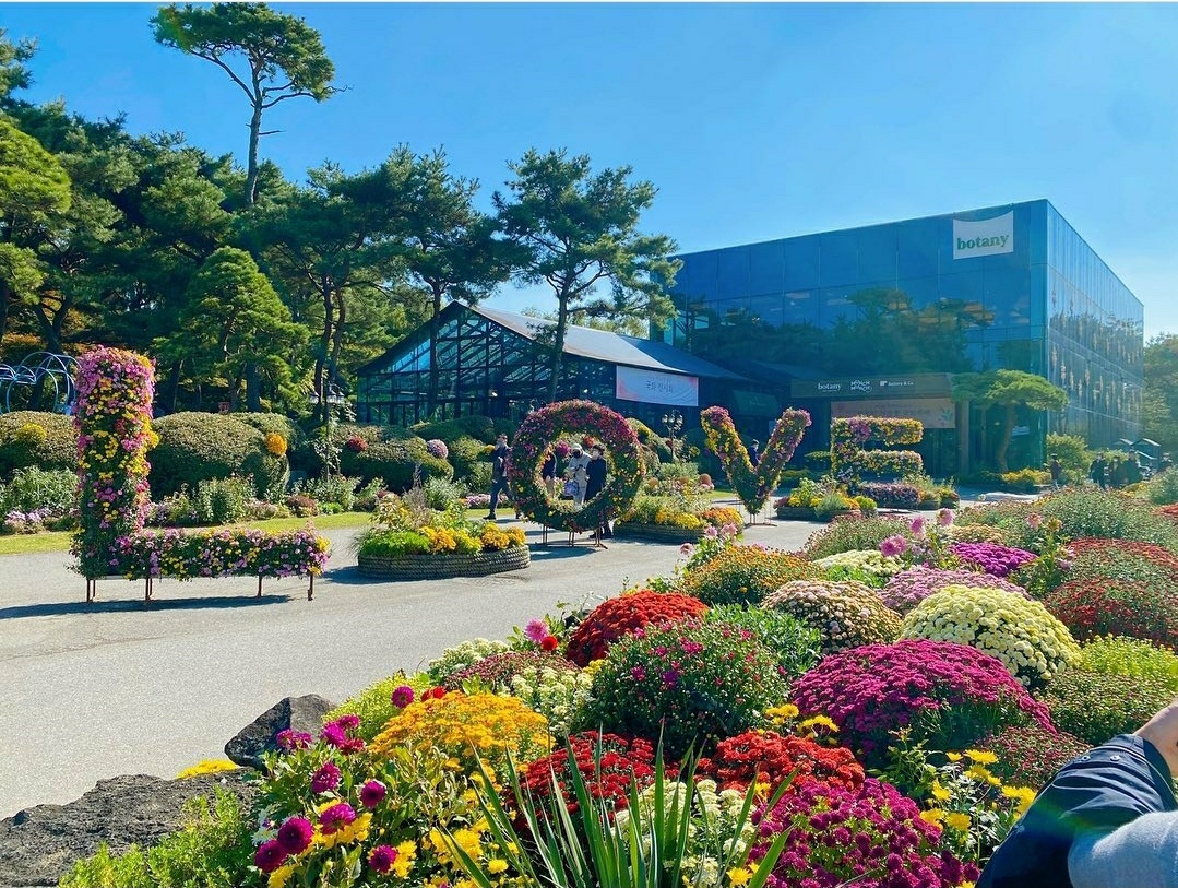 가을 꽃 축제 일정과 지역