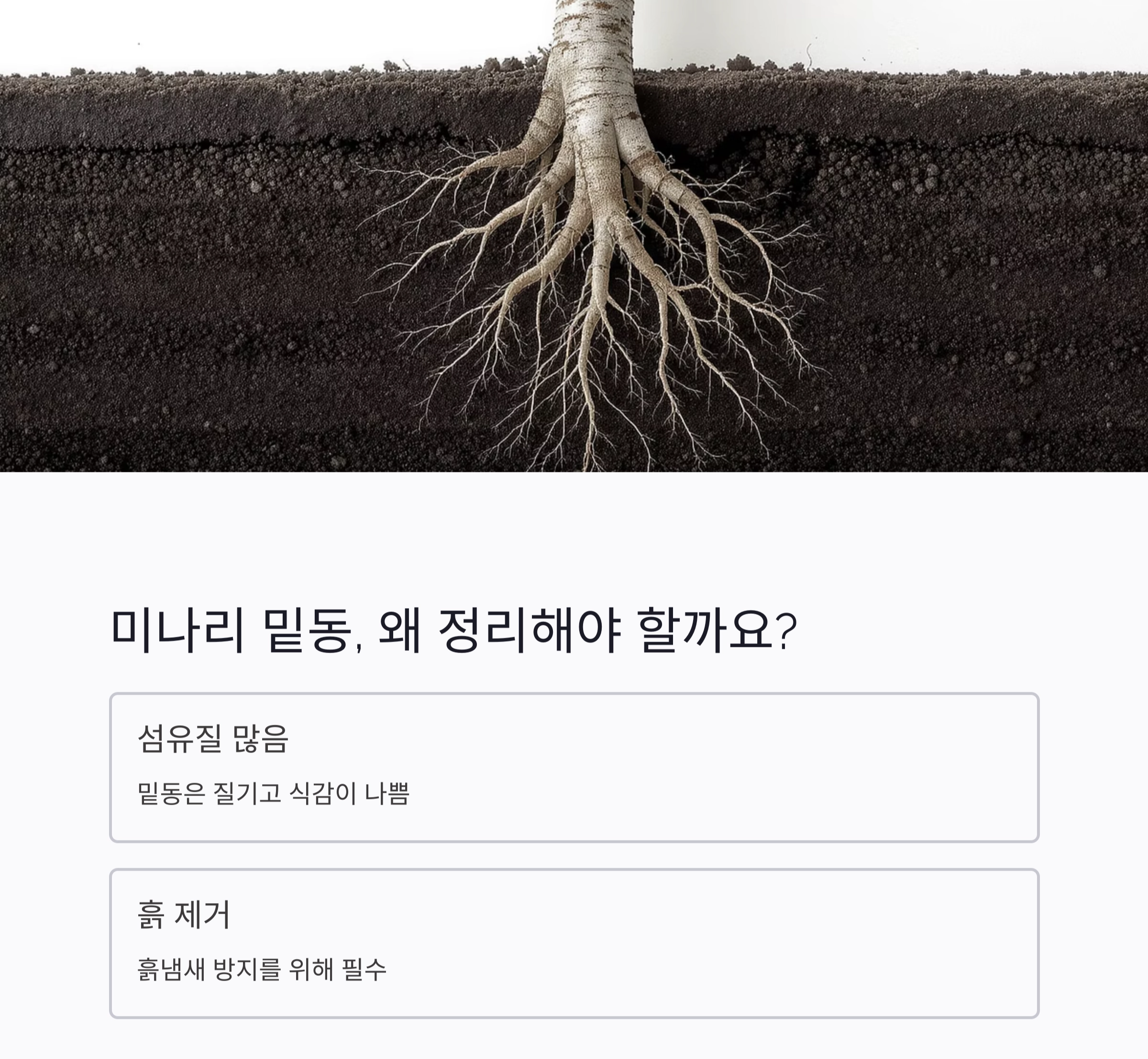 요리 초보도 쉽게 따라하는 미나리와 콩나물 밑동 손질법