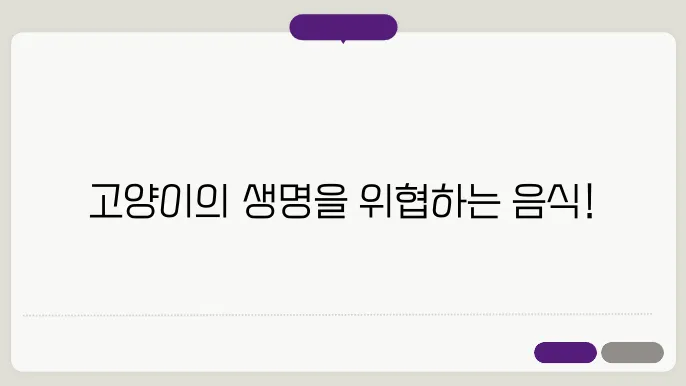 고양이에게 해로운 음식 : 건강을 위협하는 흔한 음식