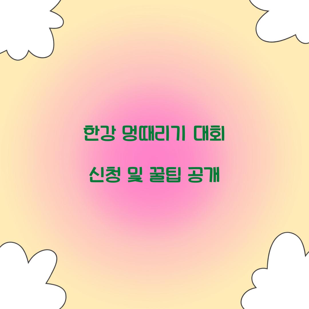 한강 멍때리기 대회