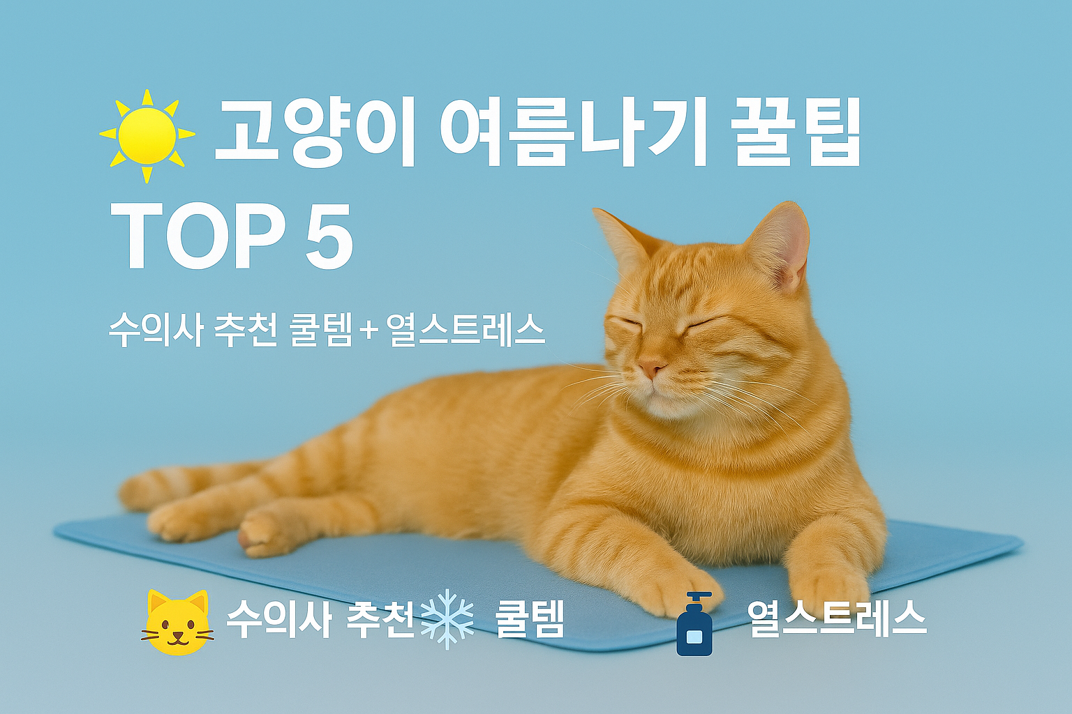 🐱 수의사가 알려주는 고양이 여름나기 완전정복: 실내 냉방부터 수분 관리까지