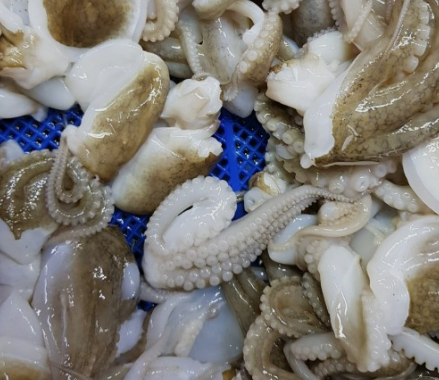 3월에 먹으면 좋은 제철 음식(봄철 음식) - 쭈꾸미편 (효능, 쭈꾸미가 들어가는 음식)