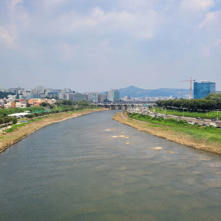 중랑천, 한강, 서울숲이 한눈에 보이는 응봉동의 멋진 뷰. 평화로운 중랑천