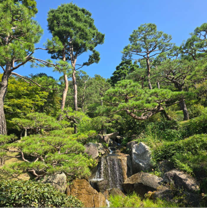 화담숲 예약방법 단풍 절정 모노레일 정보