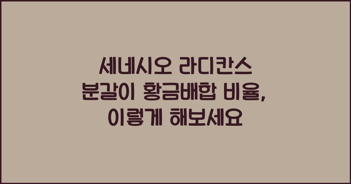 세네시오 라디칸스 분갈이 황금배합 비율