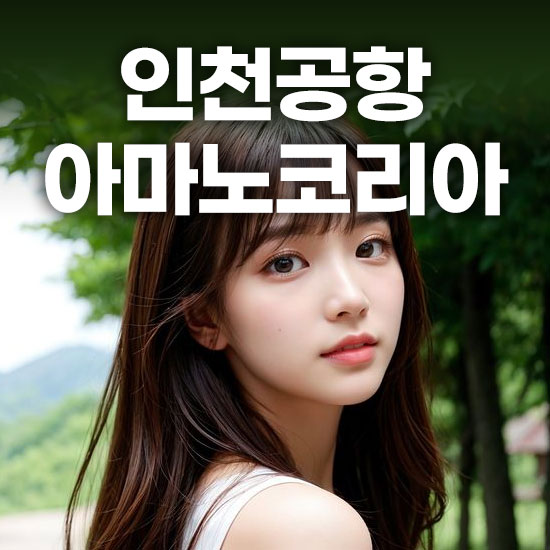 인천공항 아마노코리아 주차대행