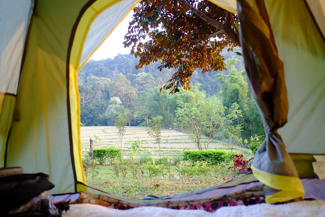 Camping.