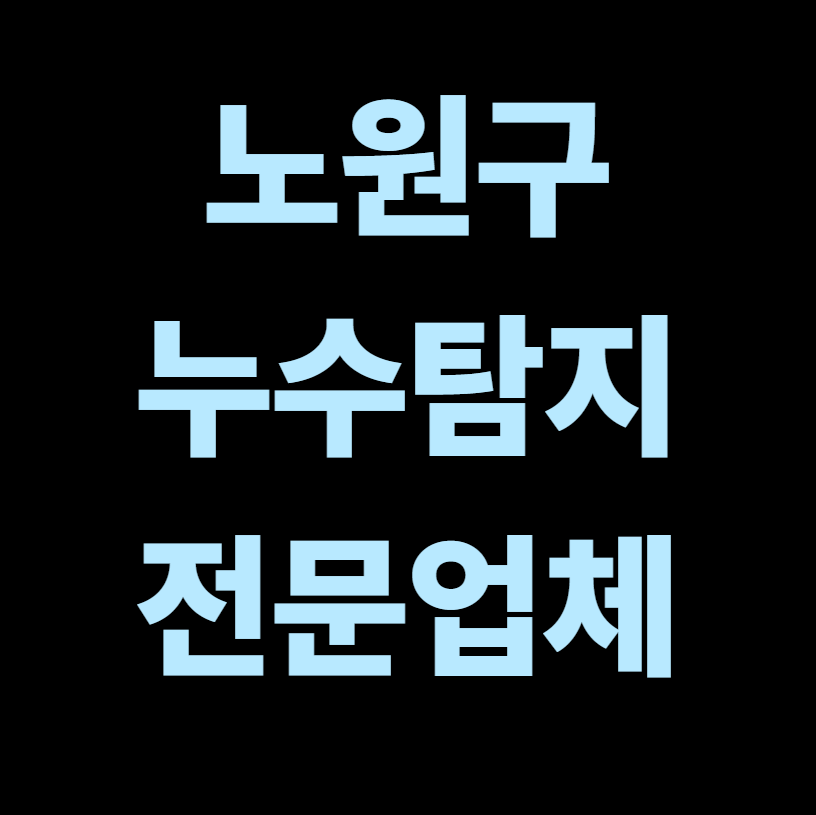 노원구 누수탐지 전문업체