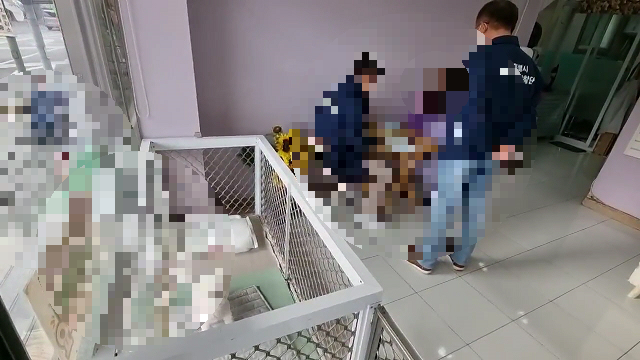 동물 관련 영업소 단속 현장 사진