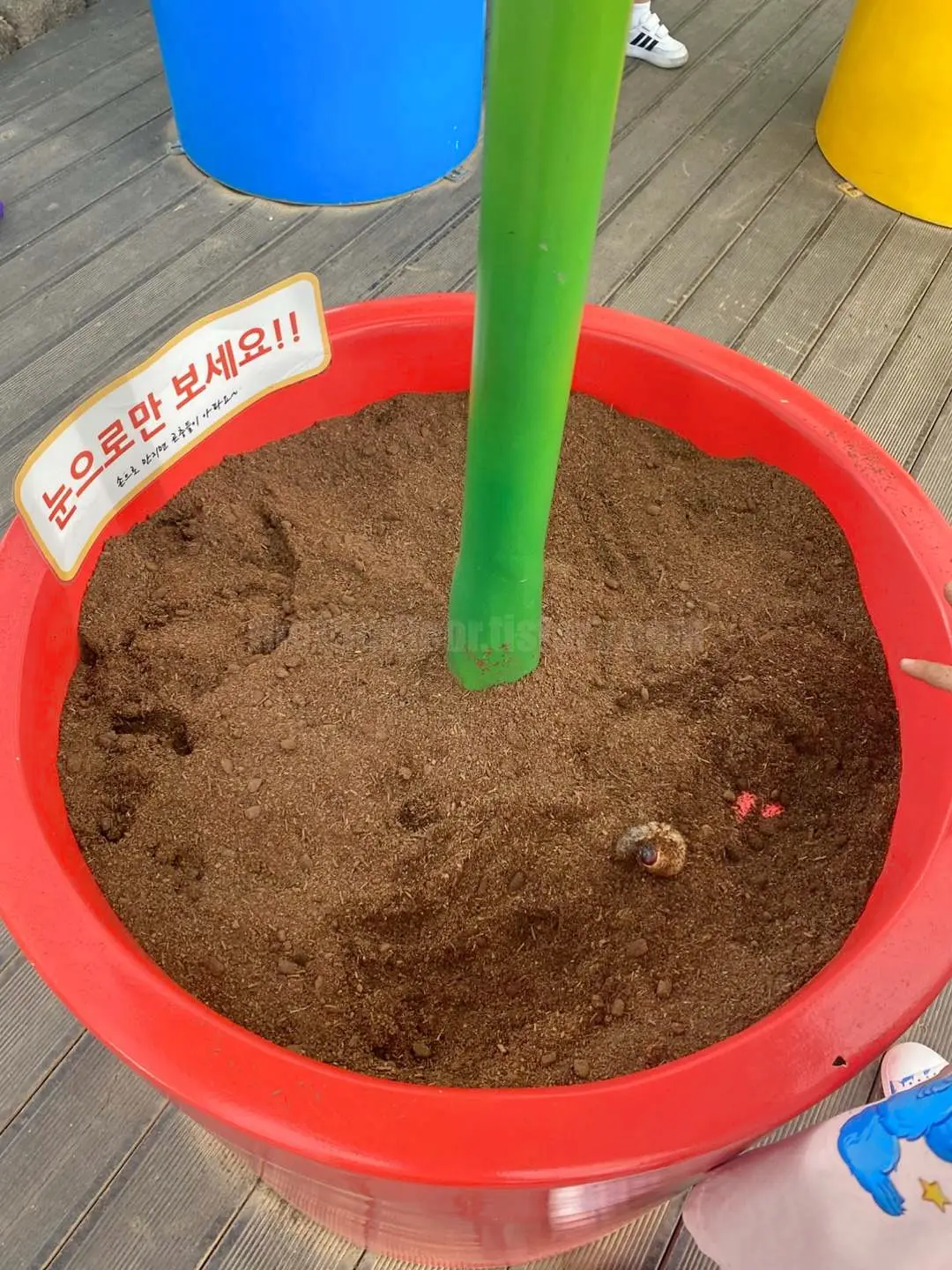 경남 의령 &amp;#39;의령 곤충생태학습관&amp;#39; (1층 &amp;#39;사막관&amp;#39;&amp;#44; &amp;#39;열대관&amp;#39;)