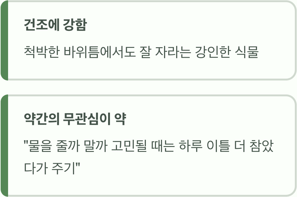 과습은 절대 금물, 약간의 무관심이 약