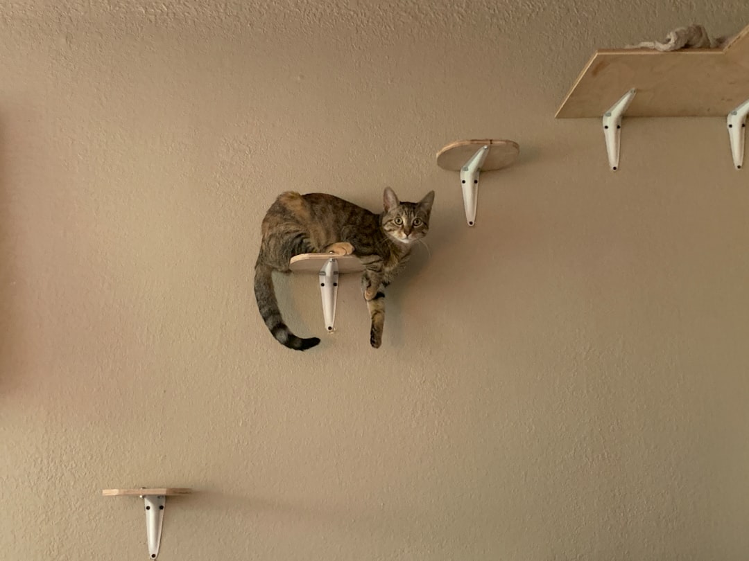 Inspection.