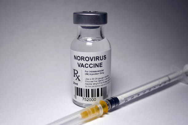 굴 섭취로인한 노로바이러스 증상 감염시 대처방법 예방법 구토,복통,설사, 주사요법, 치료법