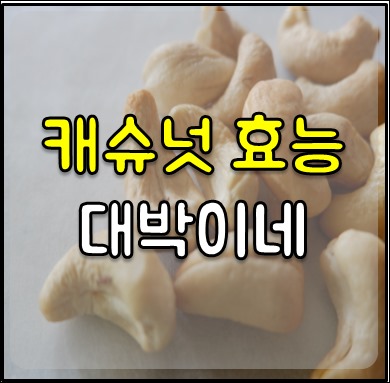 캐슈넛 효능 -1