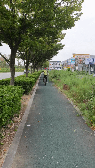 자전거타기효과