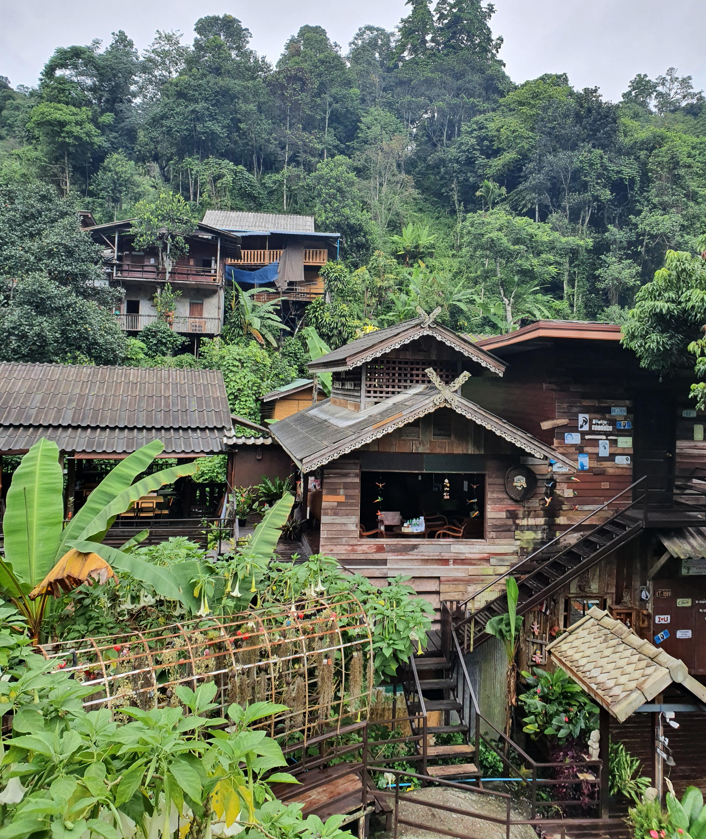 Maekampong