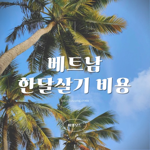 베트남 한달살기 비용