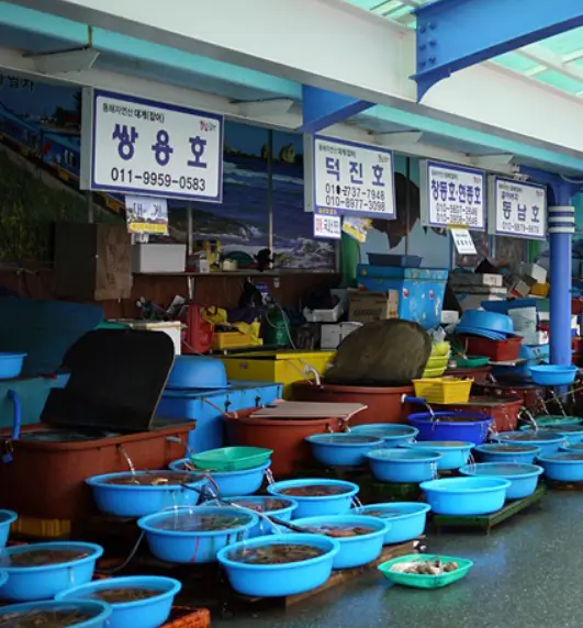 동해 묵호항 수산식당