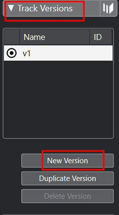 트랙 버전(Track Versions)