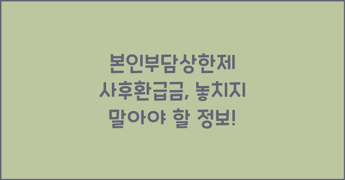 본인부담상한제 사후환급금