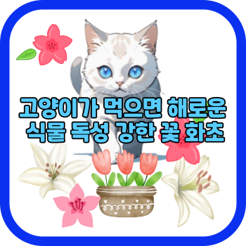 고양이가 먹으면 해로운 식물 독성 강한 꽃 화초
