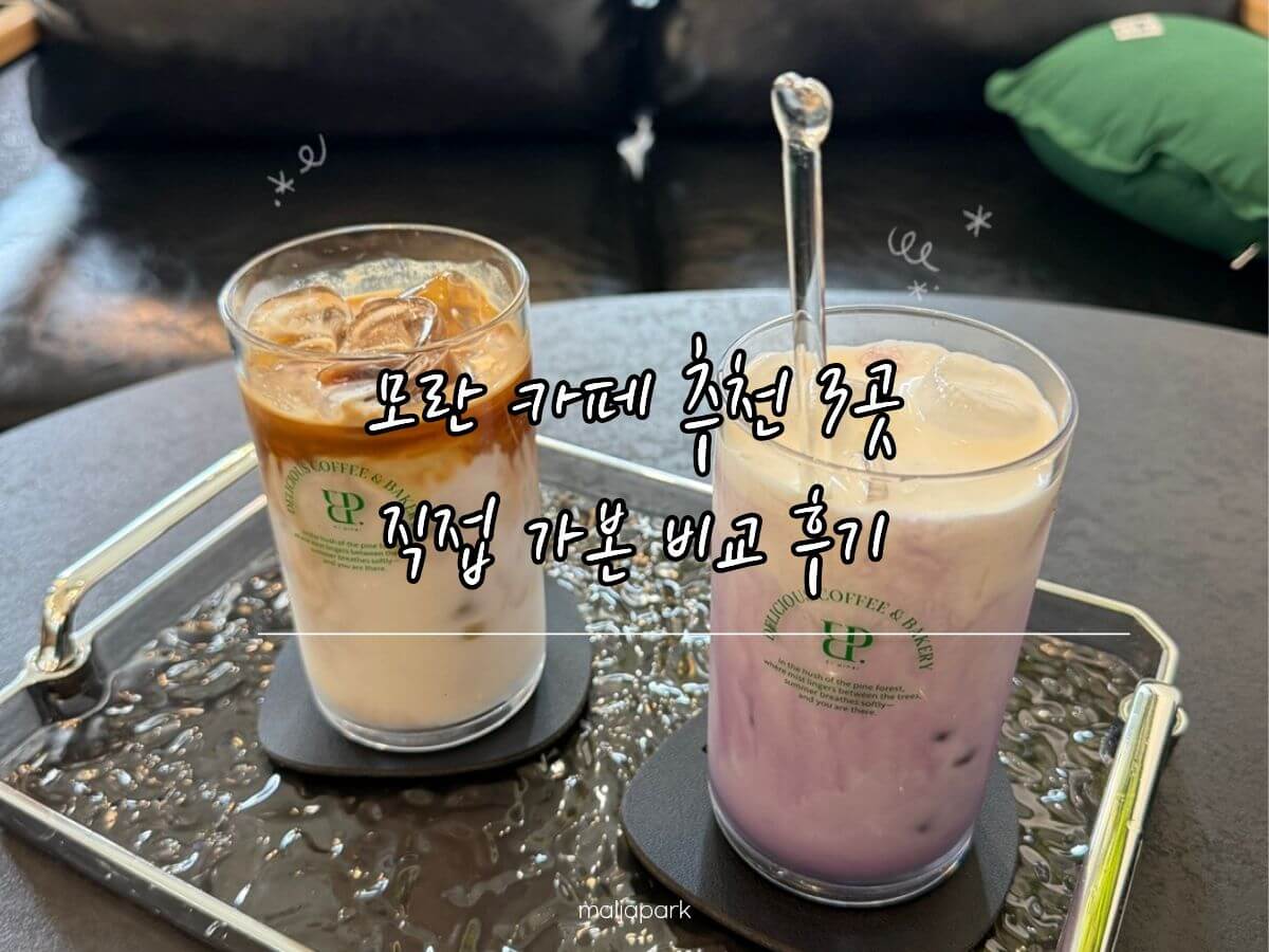 모란 카페 추천 3곳 엘피나르 카페여기 웰로우 비교 후기
