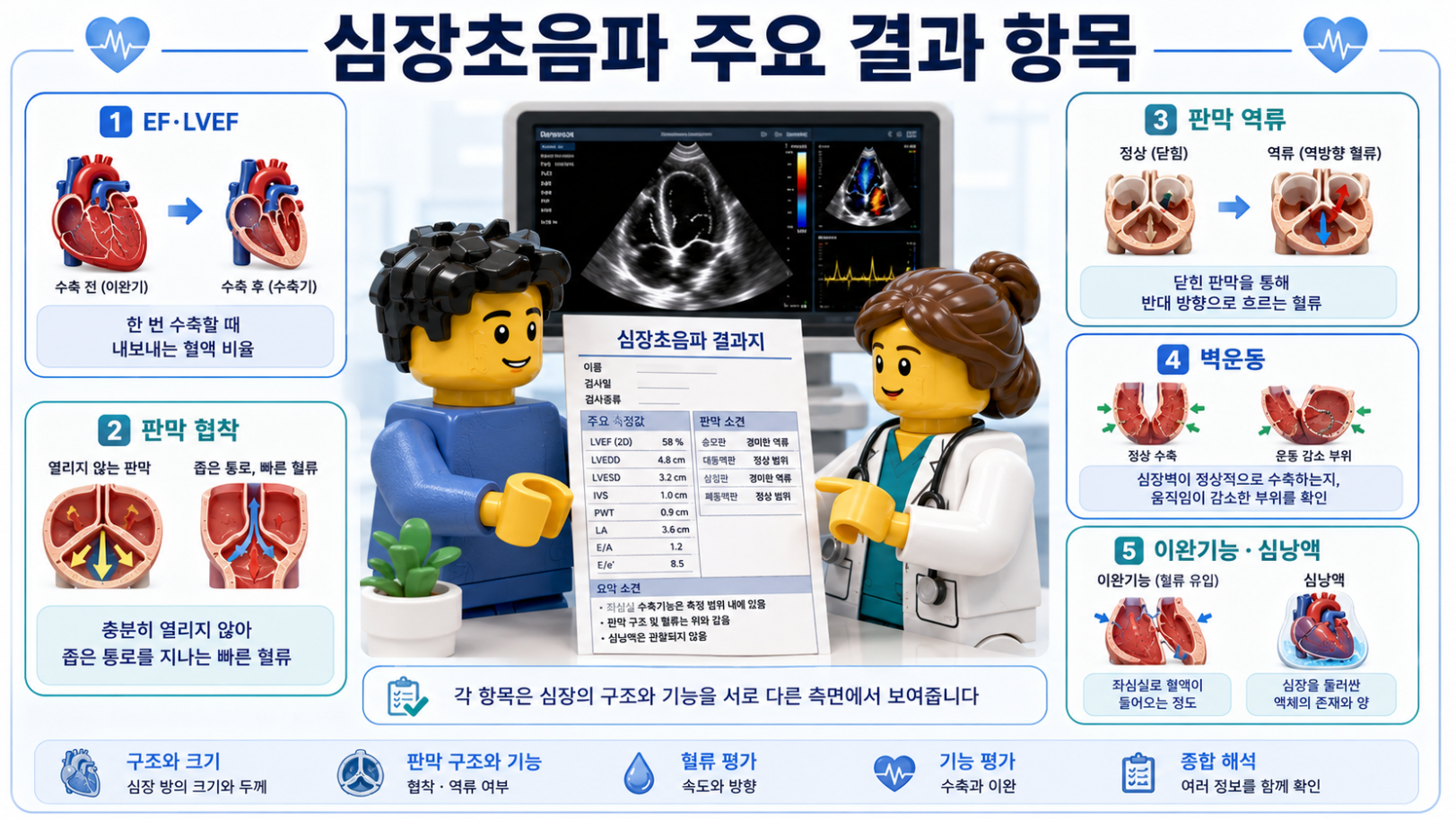 심장초음파 결과지의 EF, 판막 협착, 판막 역류, 벽운동, 이완기능과 심낭액 주요 항목을 설명한 의료 인포그래픽