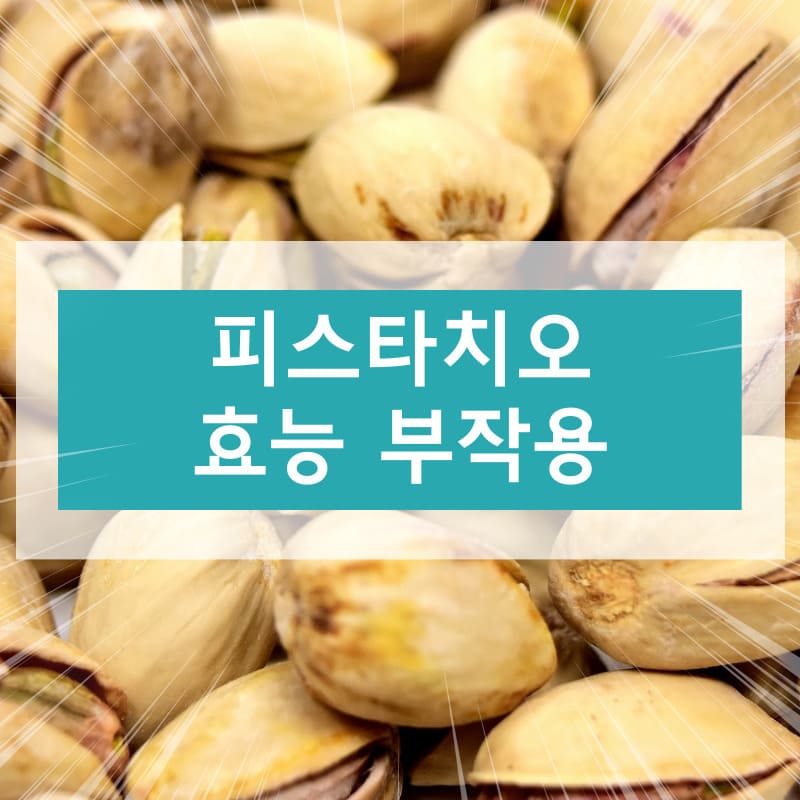 피스타치오 효능 부작용