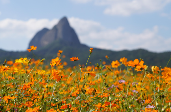 1박 2일 국내 여행지 관련 사진