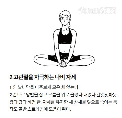 허버지통증완화_나비자세
