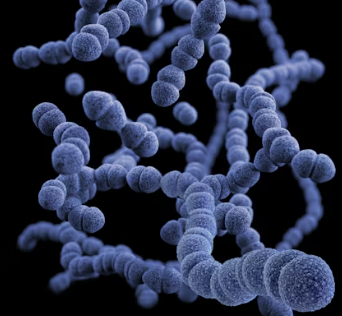 위궤양 증상 원인 치료방법 예방가이드