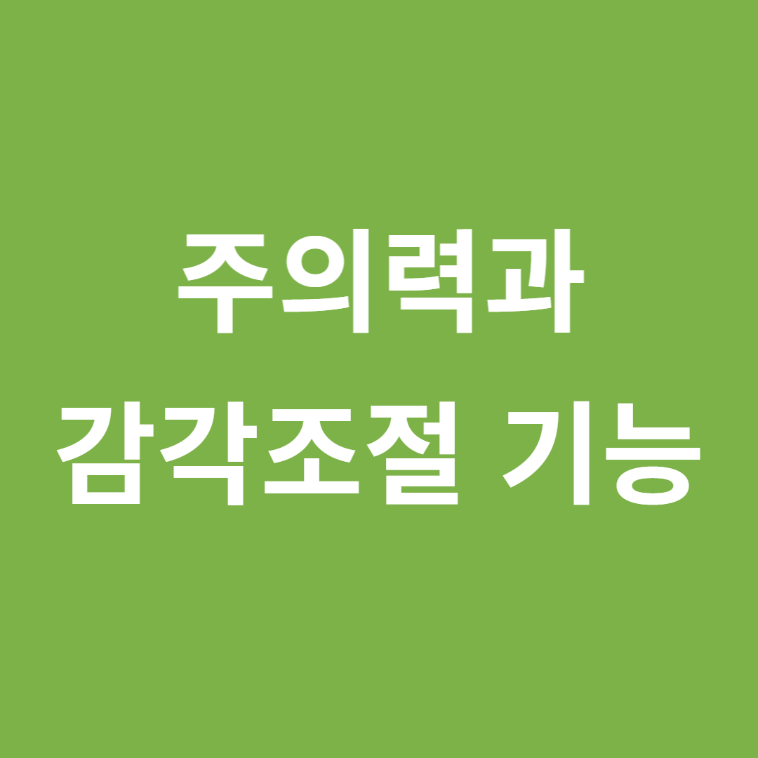 주의력과 감각 조절 기능의 연관성