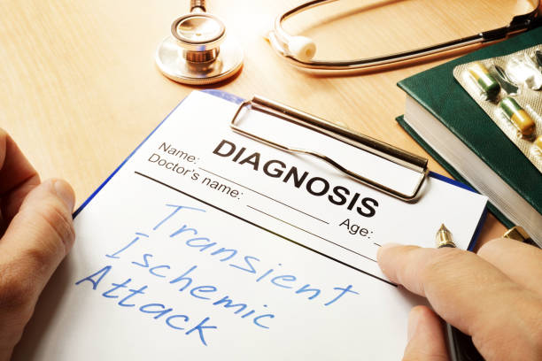 기초대사량을 증가시키는 운동