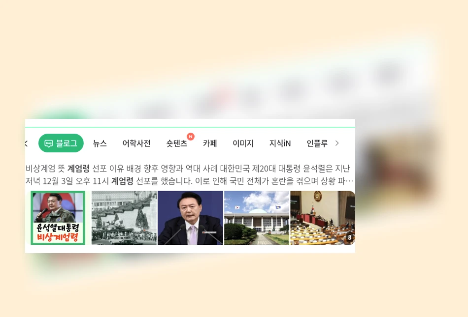 계엄령_1_subsection