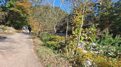 설악산_단풍여행_총정리
