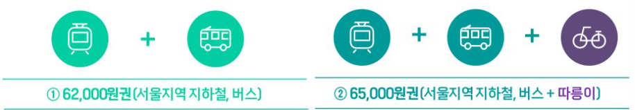 기후동행카드 가격