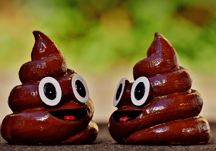 똥먹는 꿈 해몽 풀이