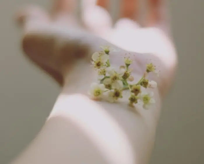 아나필락시스 증상