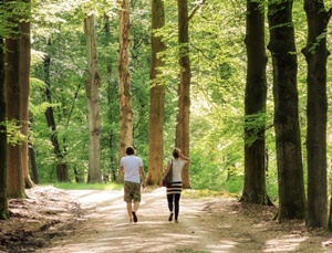 구내염 빨리 낫는 법
