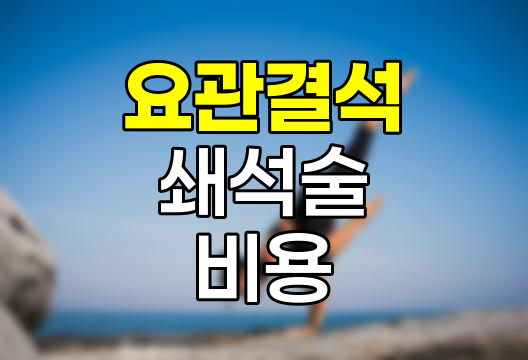 요관결석 체외충격파쇄석술 비용 분석